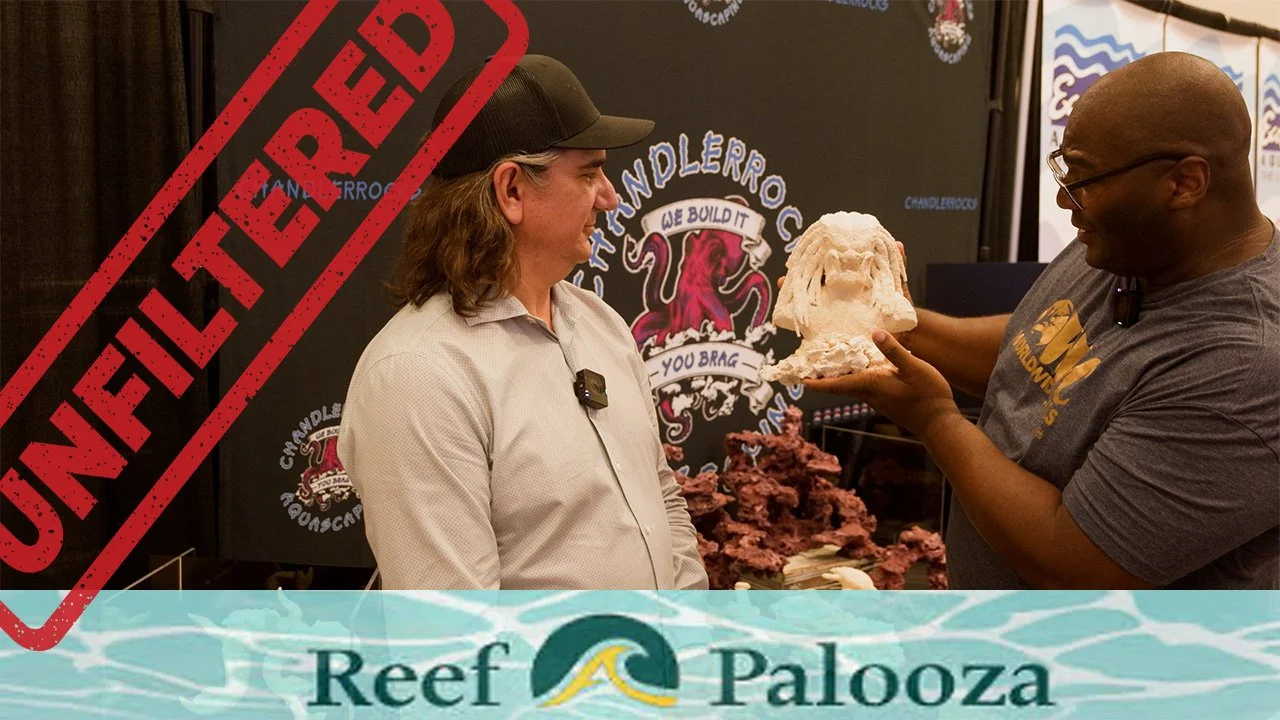 FloatScape, Chandler Rocks, MetaSorb, AF Rock | ReefAPalooza Unfiltered Ep.1