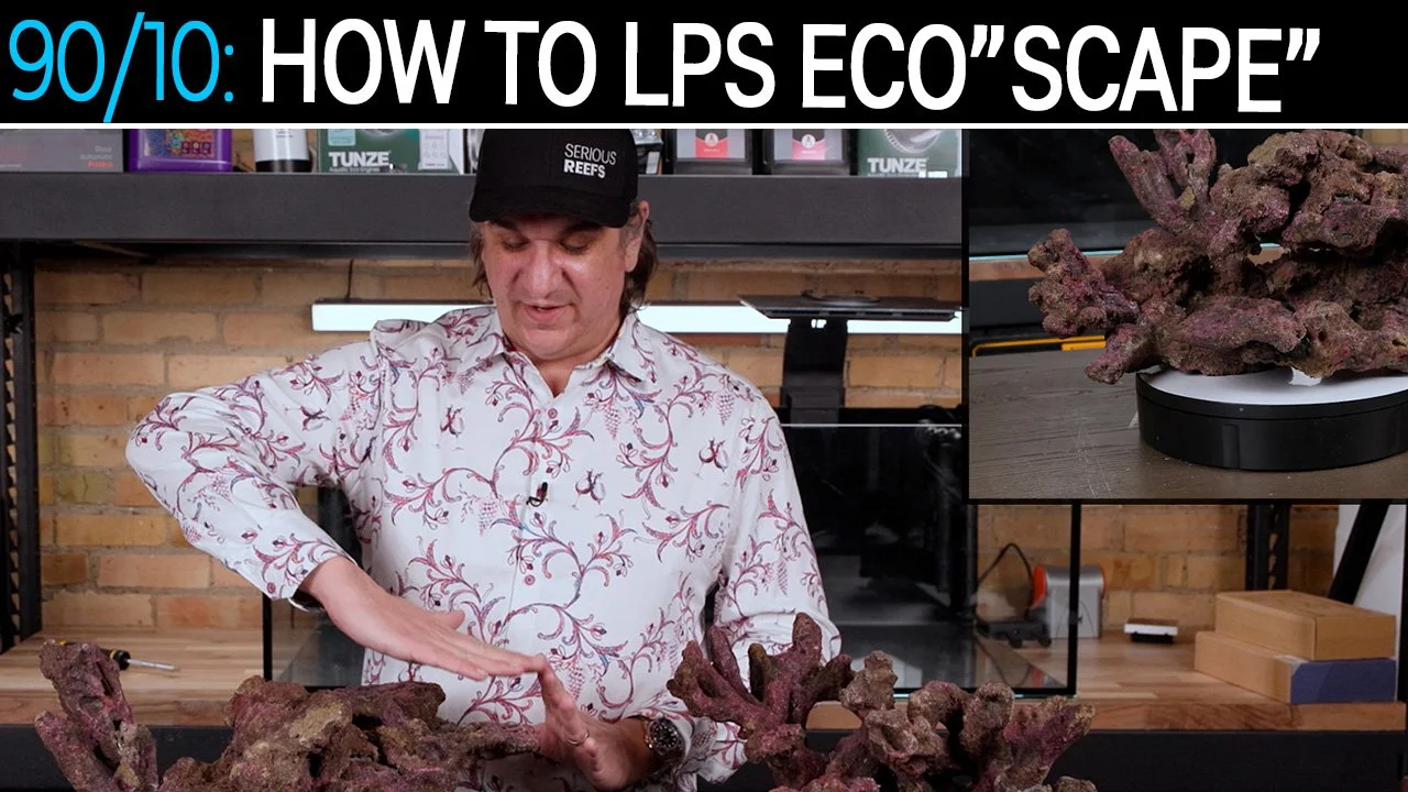 LPS Aquascape Is Curing But Did The Ecoscape Rock Meet Expectations? | 90/10 Method