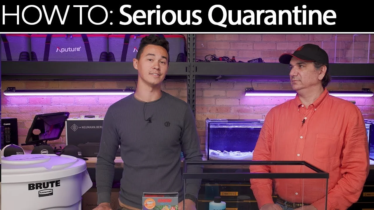 SRQT (Serious Quarantine) | SR How To Guides (Copy)