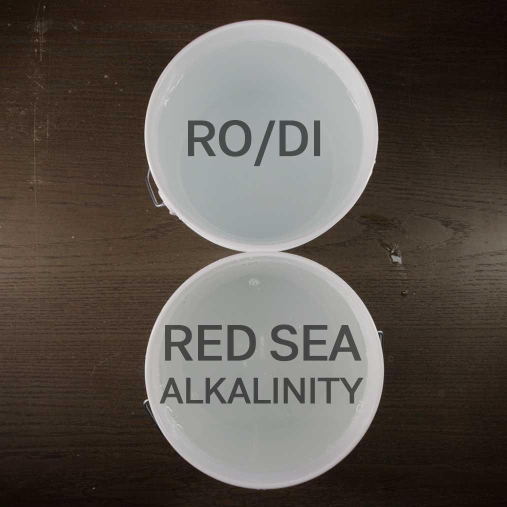red sea alkalinity_.png