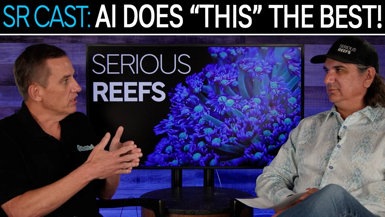 What Can AI Do For Reefers That Nothing Else Can? | SR CAST
