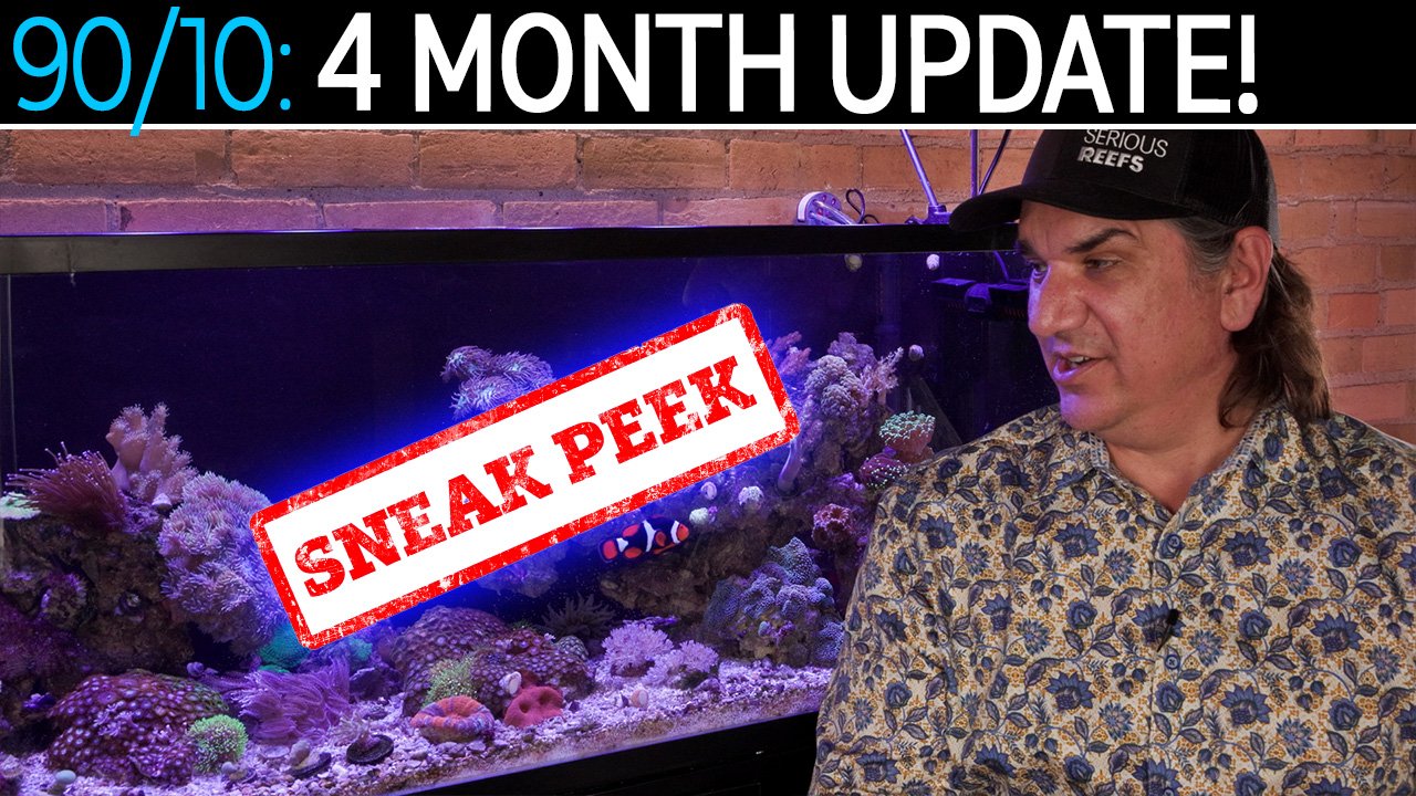 What's New With the Softy Tank? Four Months In With the 90/10 Method