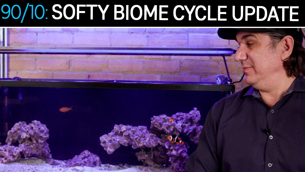 Did The 90/10 Biome Cycle Beat The Slimes, Algae, & Uglies? 90/10 Method (Copy)