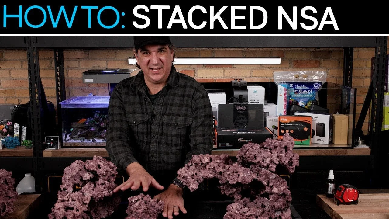 A Simple Modern Aquascape: The Stacked NSA | 90/10 Pt. 8 (Copy)