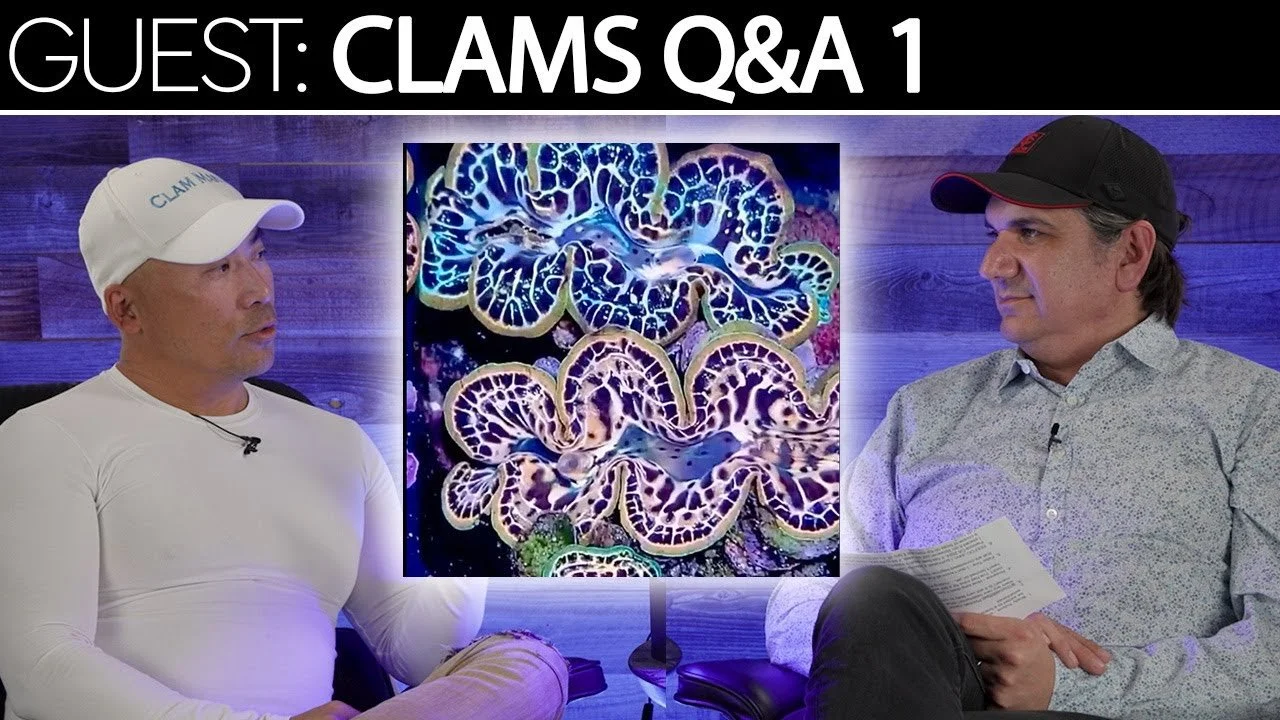 Clam Q&A 1. John From Clam Mania Answers All Your Questions | SR Cast