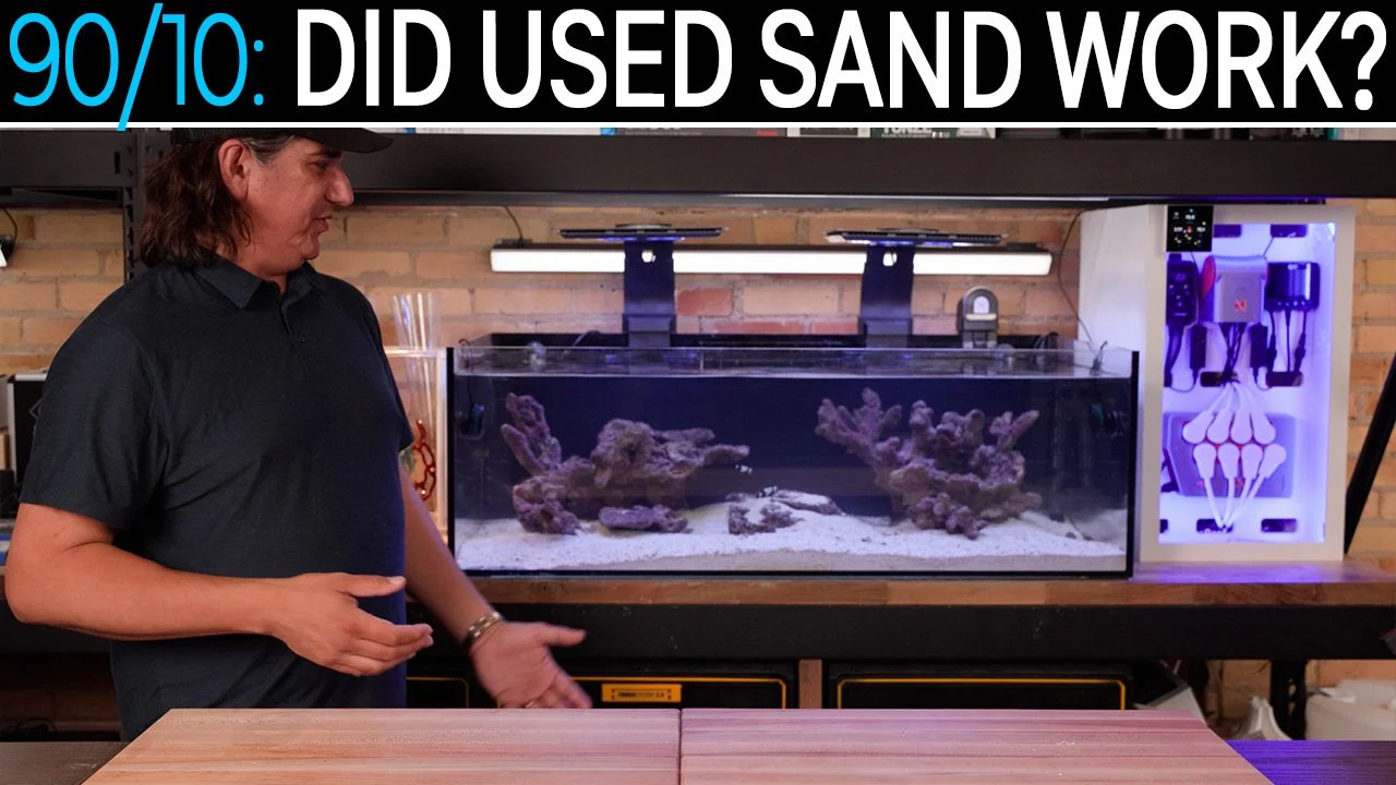 Can You Biome Cycle With Sand From An Existing Tank? You Be The Judge | 90/10 Method