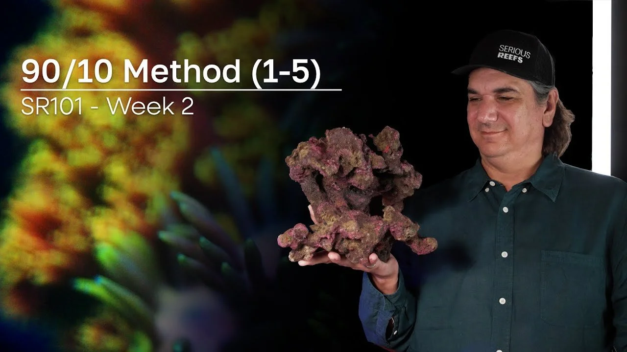 The First Five, Tank Type, Size, Water, Substrate, & Rock | 90/10 Method Pt. 2 (Copy)