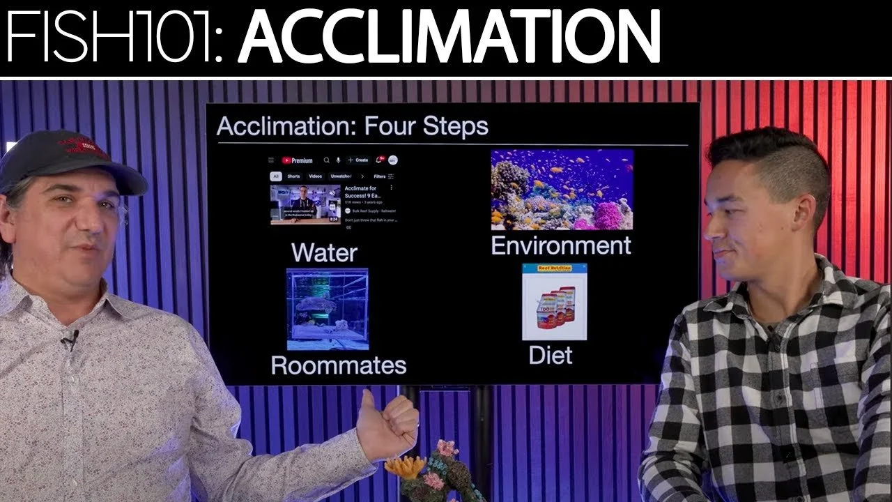 Acclimation For Near Zero Mortalities  | SR Cast Podcast