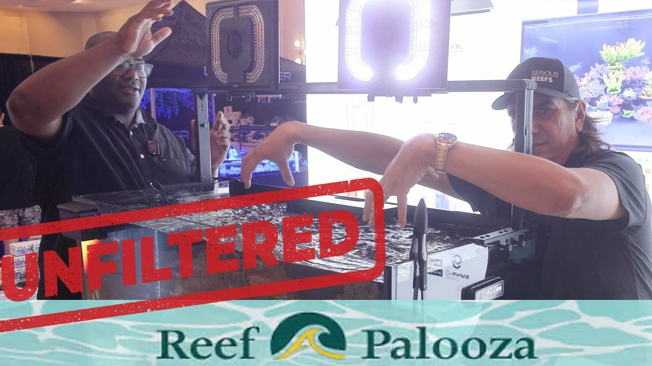 Maxspect Ethereal Mount, Avid My Aquarium, IND Feeder, All In Skim | ReefAPalooza Unfiltered Ep.4
