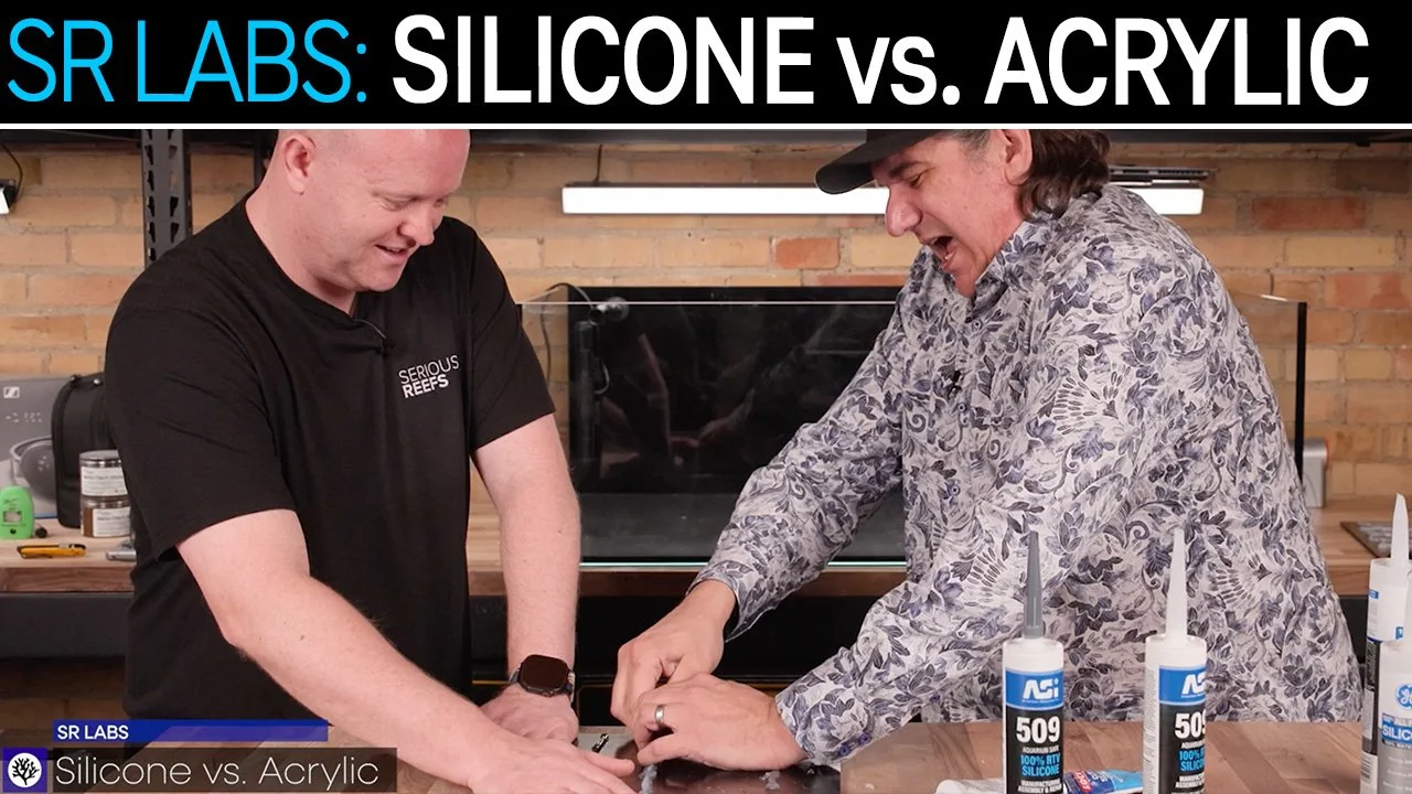 Which Silicone Works Best on Acrylic? One Clear Winner | SR Labs