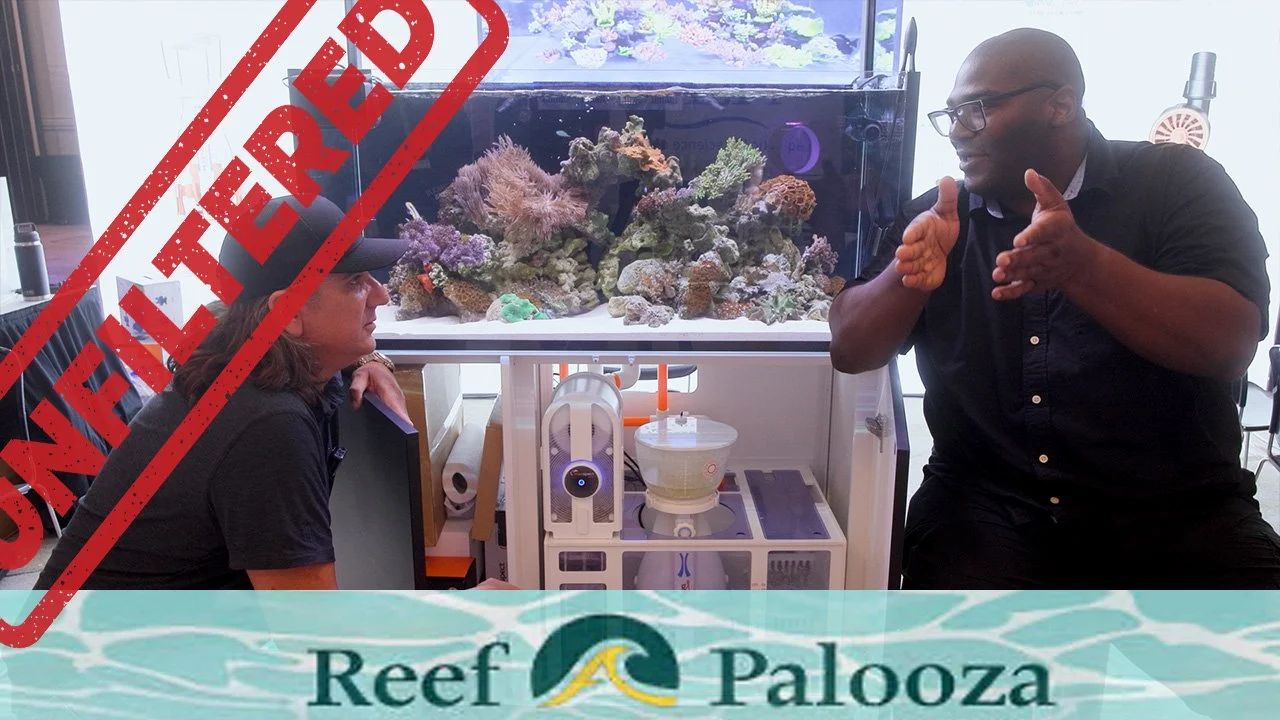 Maxspect Tanks, Next Gen Reef Tech, Pukani, PNW Customs | ReefAPalooza Unfiltered Ep.2