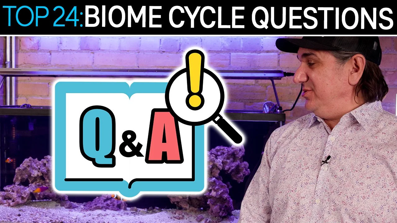 Top 24 Questions About Biome Cycling Answered. The Nuance Matters | SR 90/10 Method (Copy)