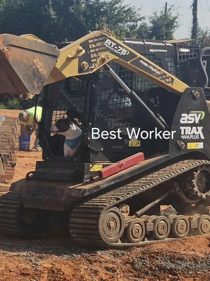 A compact track loader at a construction site with a person and his dog operating it, and the words "Best Worker" overlaid on the image.