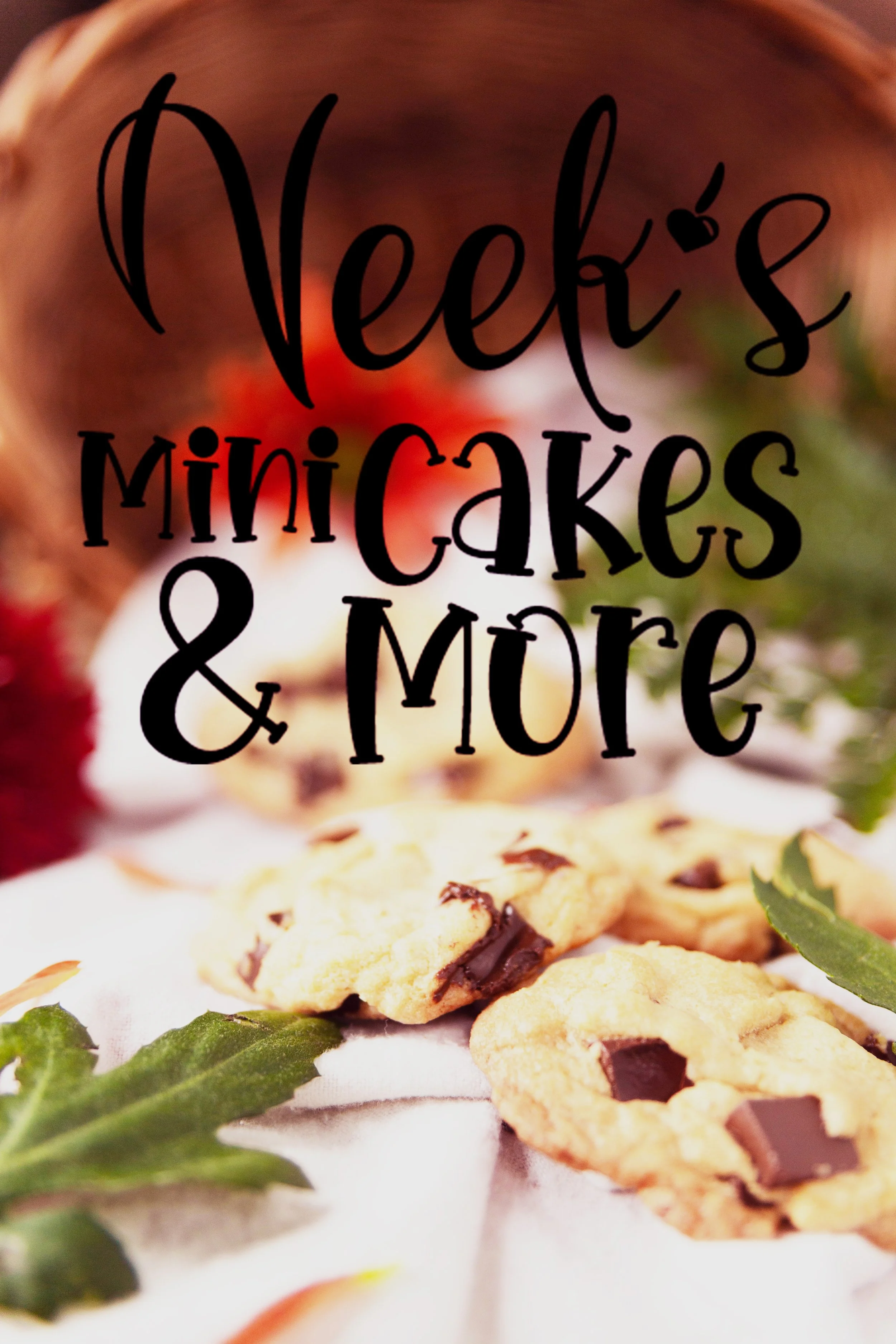 Neeks Promo Photo.jpg