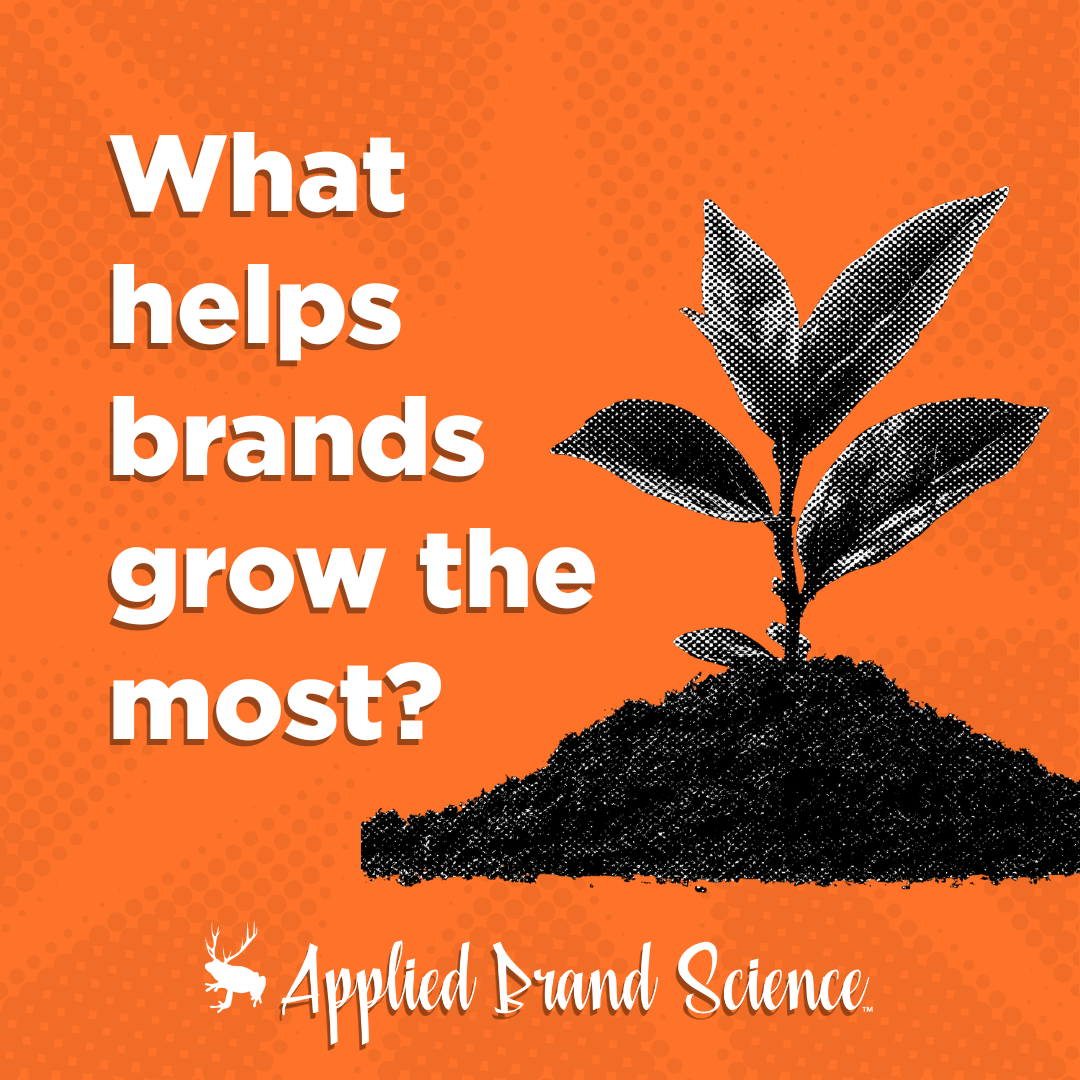 Which of the 4 P's matters most for new brands?