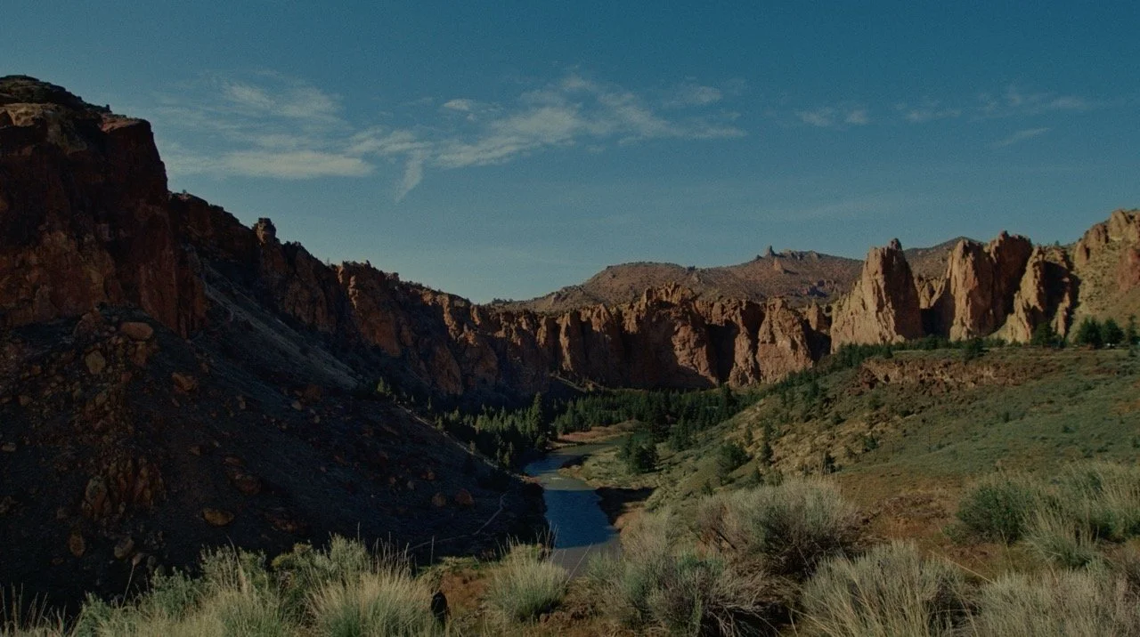 Screenshot 2024-11-26 at 1.54.11 PM Large.jpeg