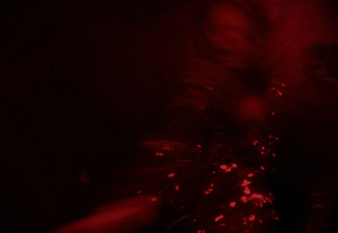 Screenshot 2023-12-12 at 11.32.43 AM Large.jpeg