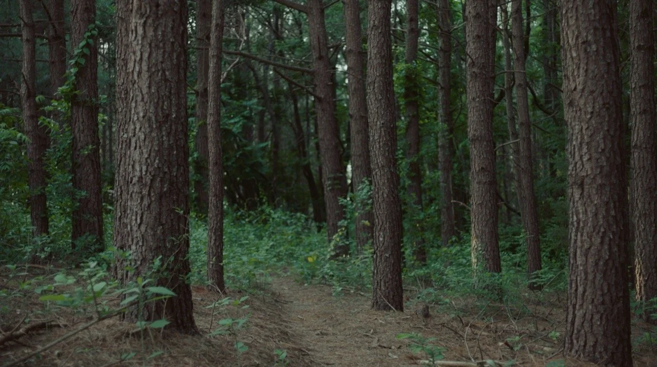 Screenshot 2023-11-08 at 1.32.56 PM Large.jpeg