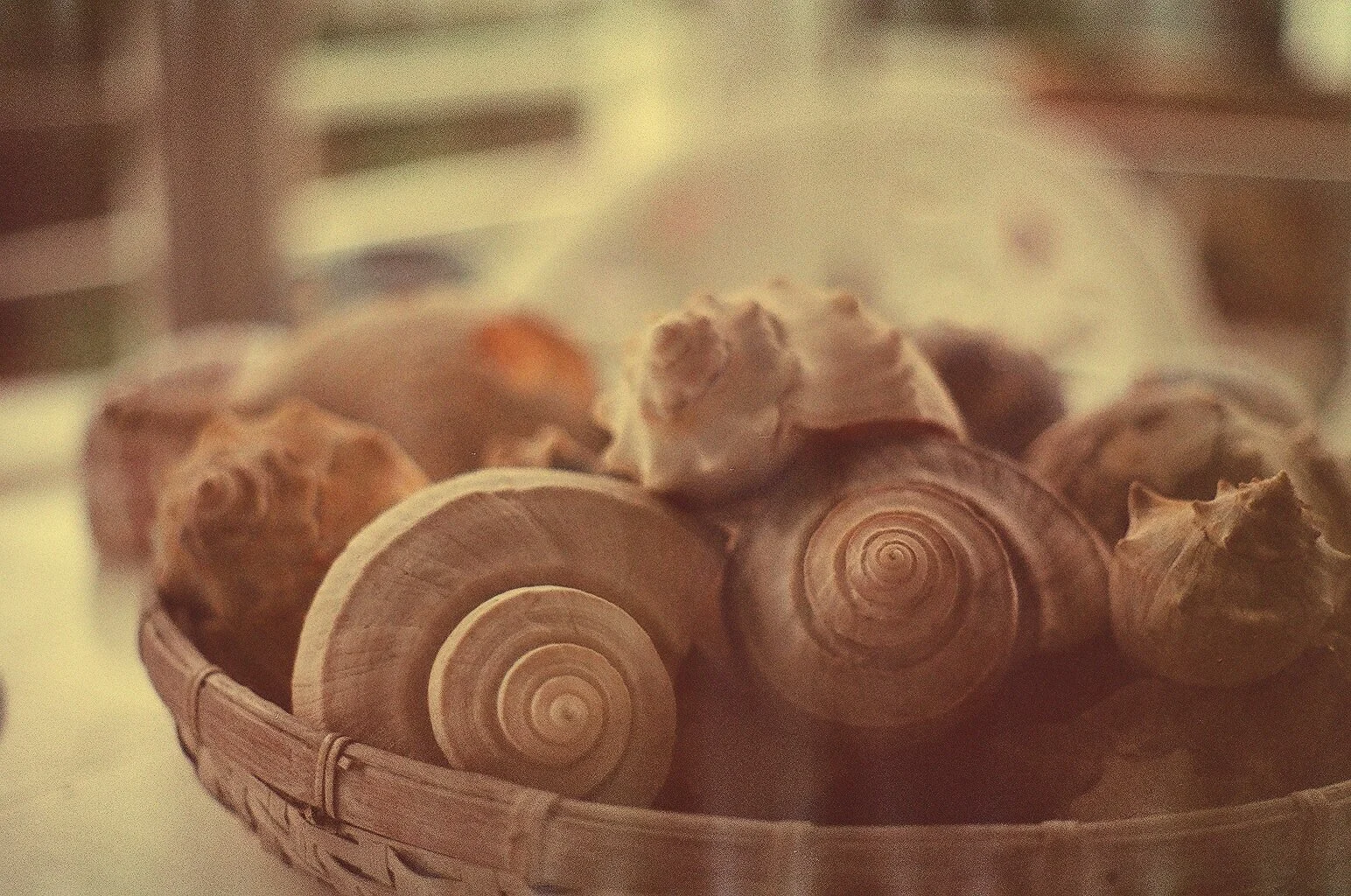 A close-up of a basket filled with seashells, with some shells having spiral patterns, placed on a surface with a blurred background.