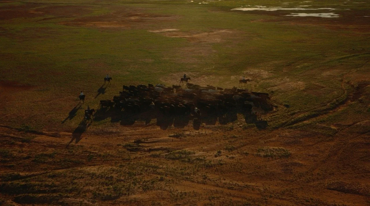 Screenshot 2024-11-26 at 12.41.38 PM Large.jpeg