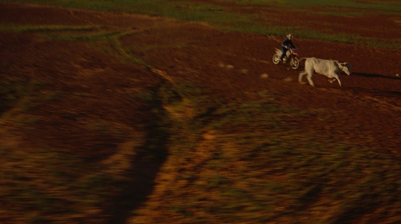 Screenshot 2024-11-26 at 12.43.18 PM Large.jpeg