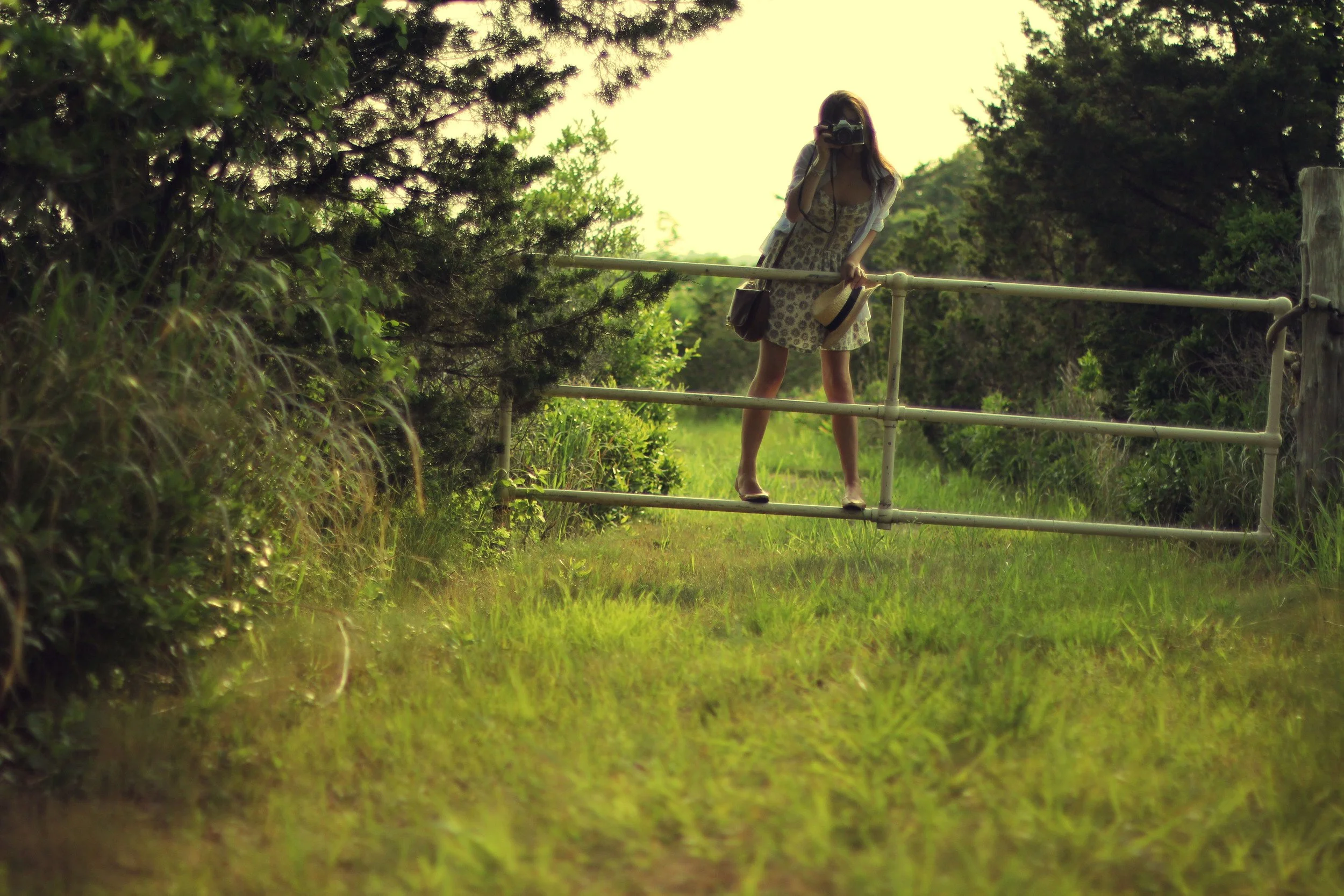 Woman with long hair holding a camera and a hat, standing on a small bridge in a lush green natural setting during daytime.