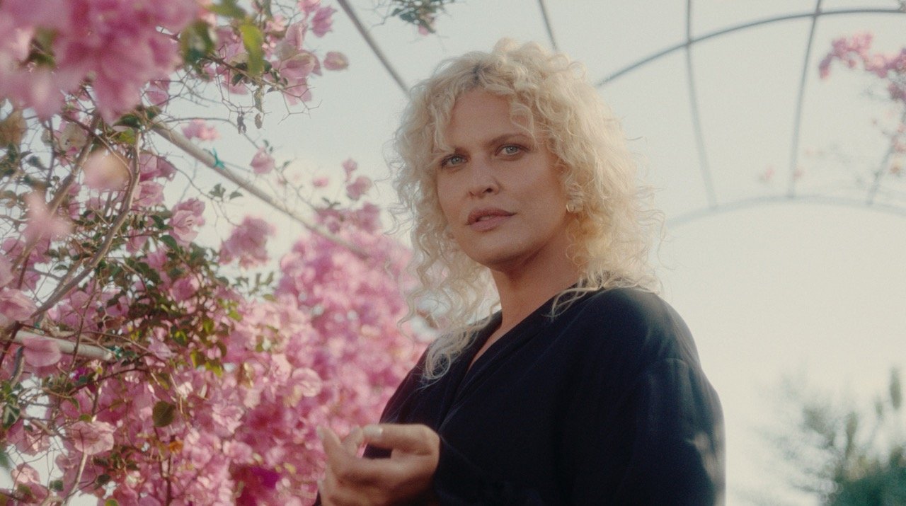 Screen Shot 2023-05-24 at 2.46.55 PM Large.jpeg