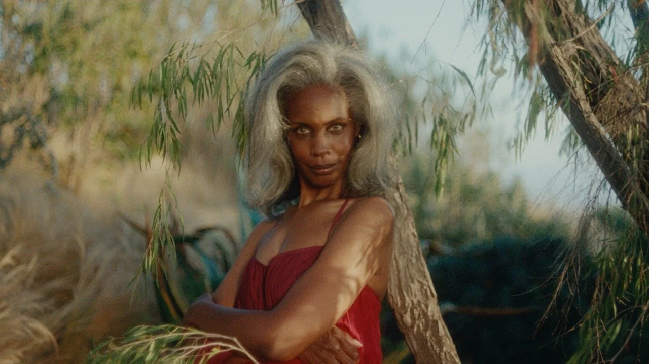 Screen Shot 2023-05-24 at 2.50.26 PM Large.jpeg