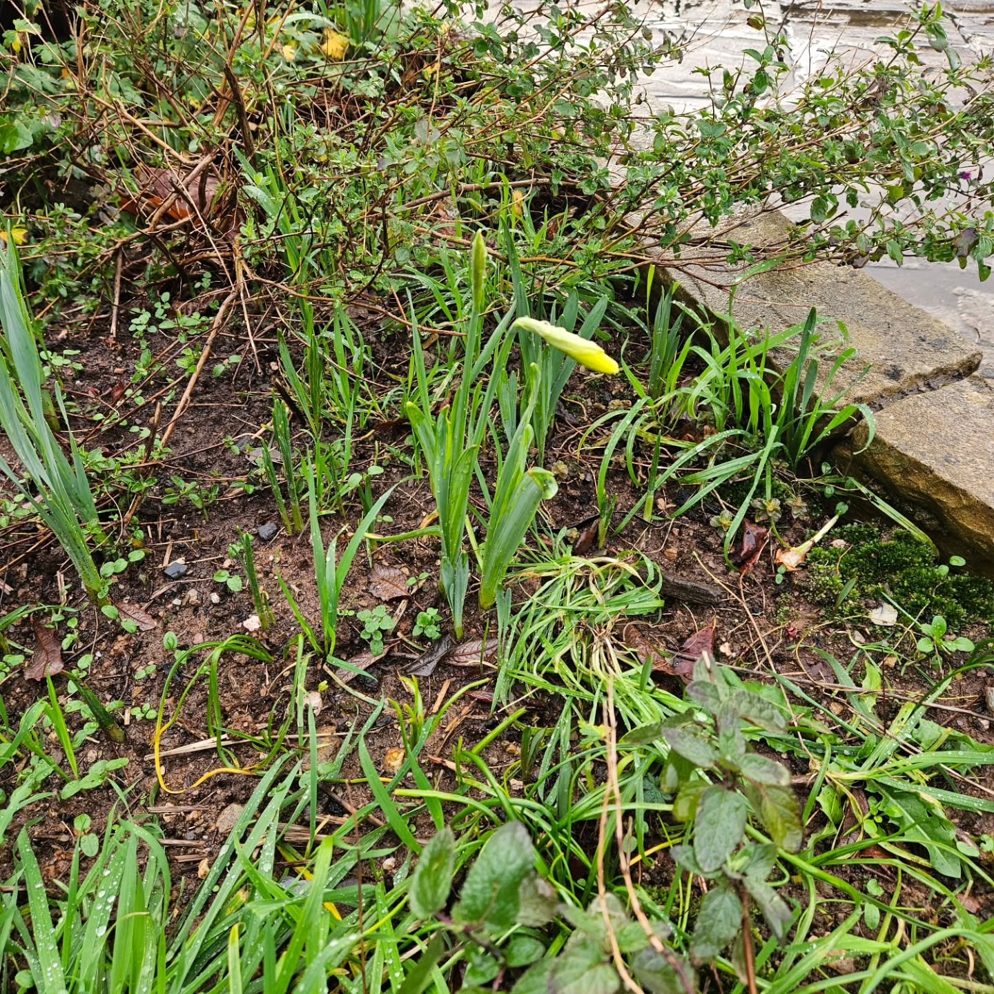 This morning, before work, I paused and took notice. 

Pausing before a 1:1 session or a workshop is really important  and allows me to ground myself, becoming truly present and ready for the session. 

Pausing doesn't have to take a long time, it do