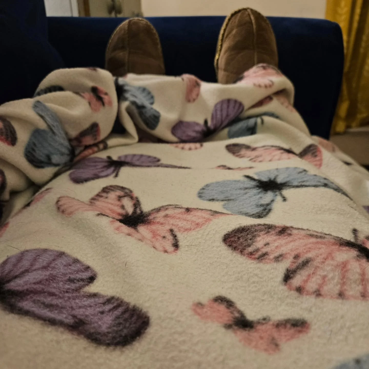 Sunday evening meditation to rest and reset ready for the week ahead. 

#meditationpractice #sundayevening #rest #restisproductive #peaceful