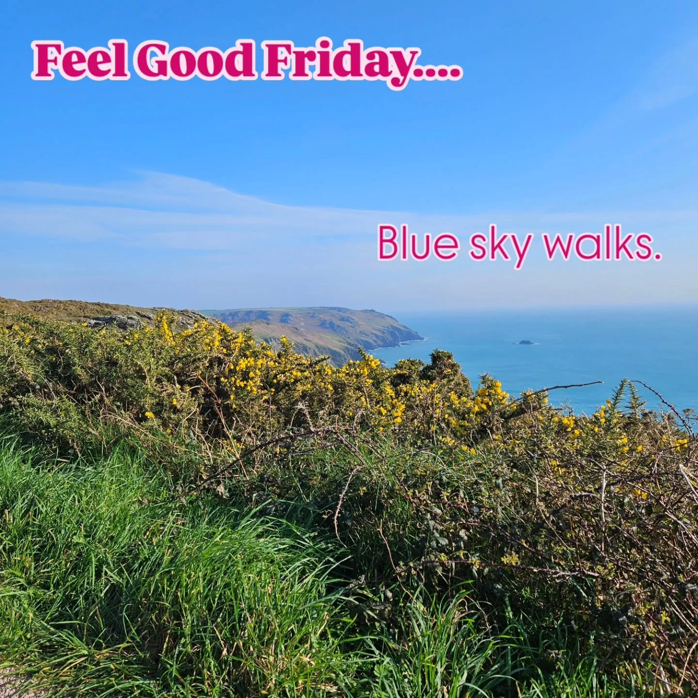 What are your feel goods for this week? 

I've really enjoyed getting out into the sun and seeing all the daffodils in bloom. Not to forget munching on the sausage rolls that my daughter made. 

#feelgoodfriday #wellbeingcoach #springflowers #wellnes