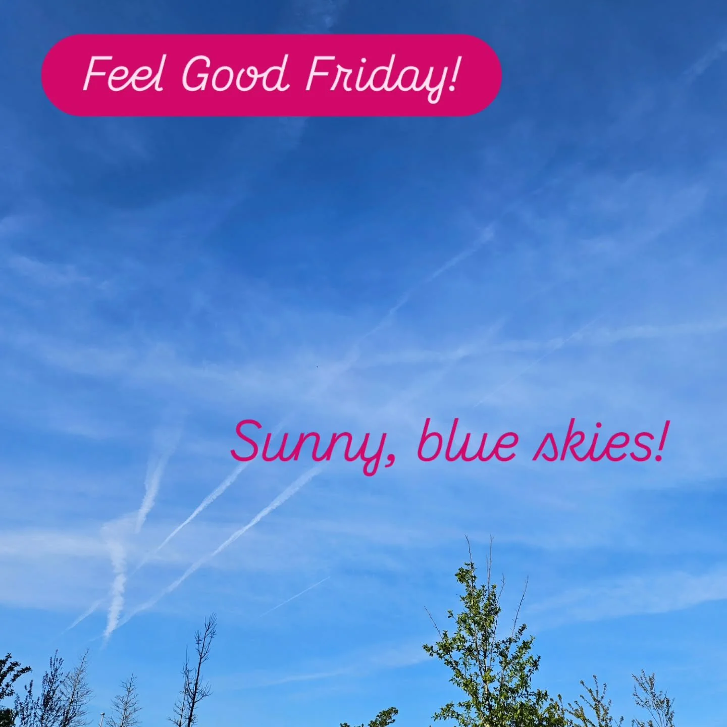 Is it just me or is time flying by!?

This week the sun and blue skies have made me happy! 

What has made you happy this week? 

Follow along for little glimmers of joy. 

#feelgoodfriday #glimmer #blueskies #happyfriday #smile