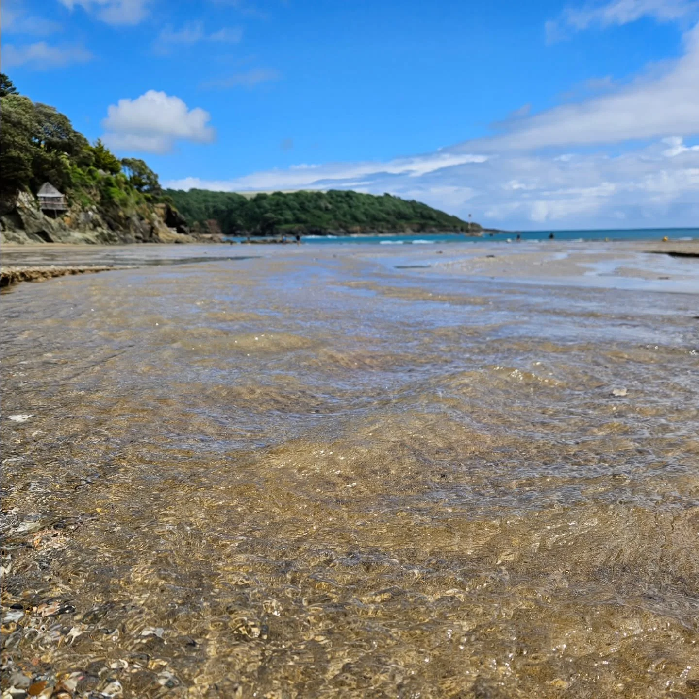 What a week, but we made it through! Here are my 'feel good' things. Don't forget to share yours below!

A beach trip to let nature calm us, and to play frisbee (rather badly!)

My daughter and I made a cute little @eugy_dodoland puffin. We really en