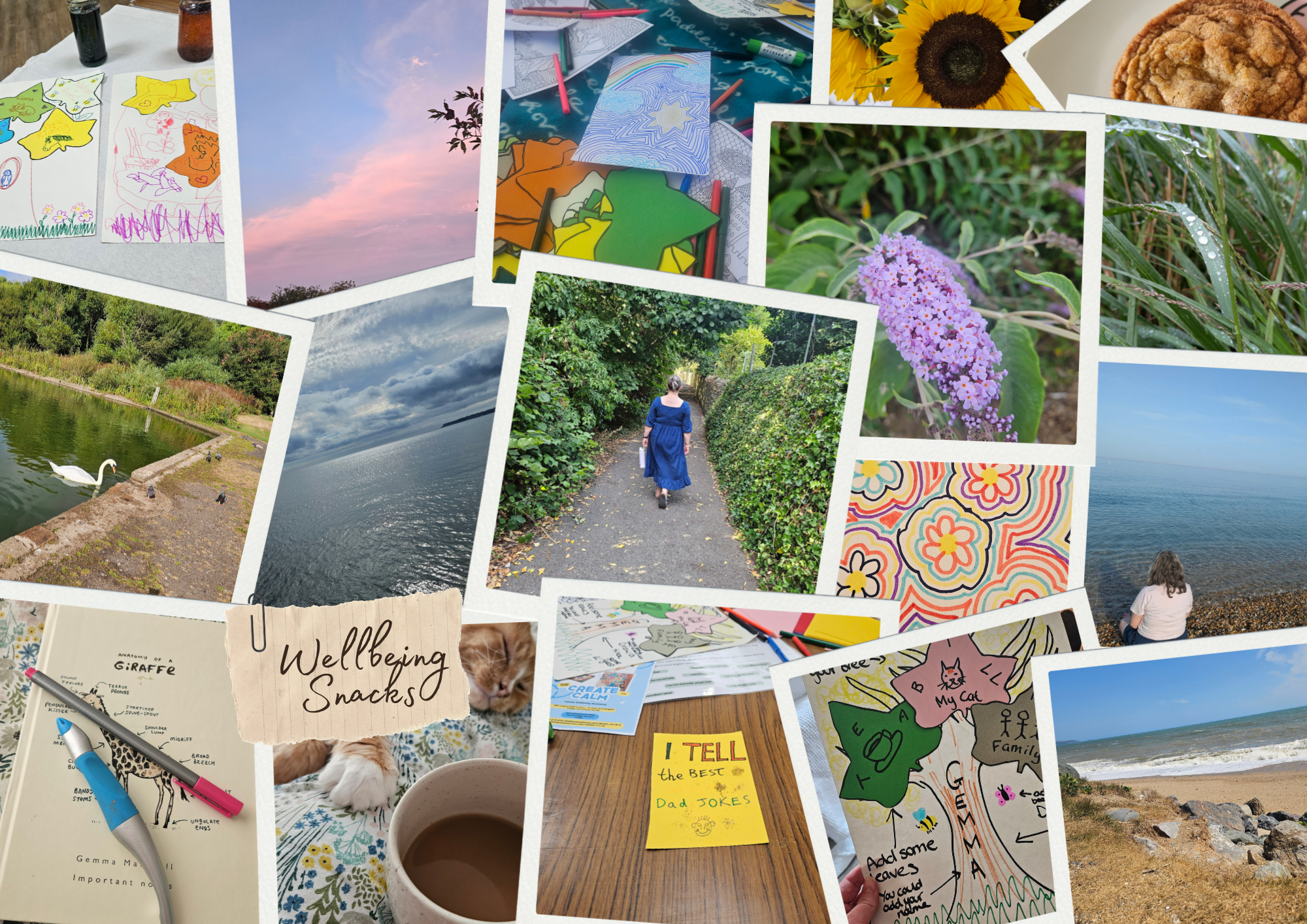 Collage of various outdoor scenes, artwork, plants, and snacks, including a sunset, greenery, a person walking a path, a lake, a swan by the water, sunflower, blueberry flowers, a cookie, ice cream, and handwritten notes.