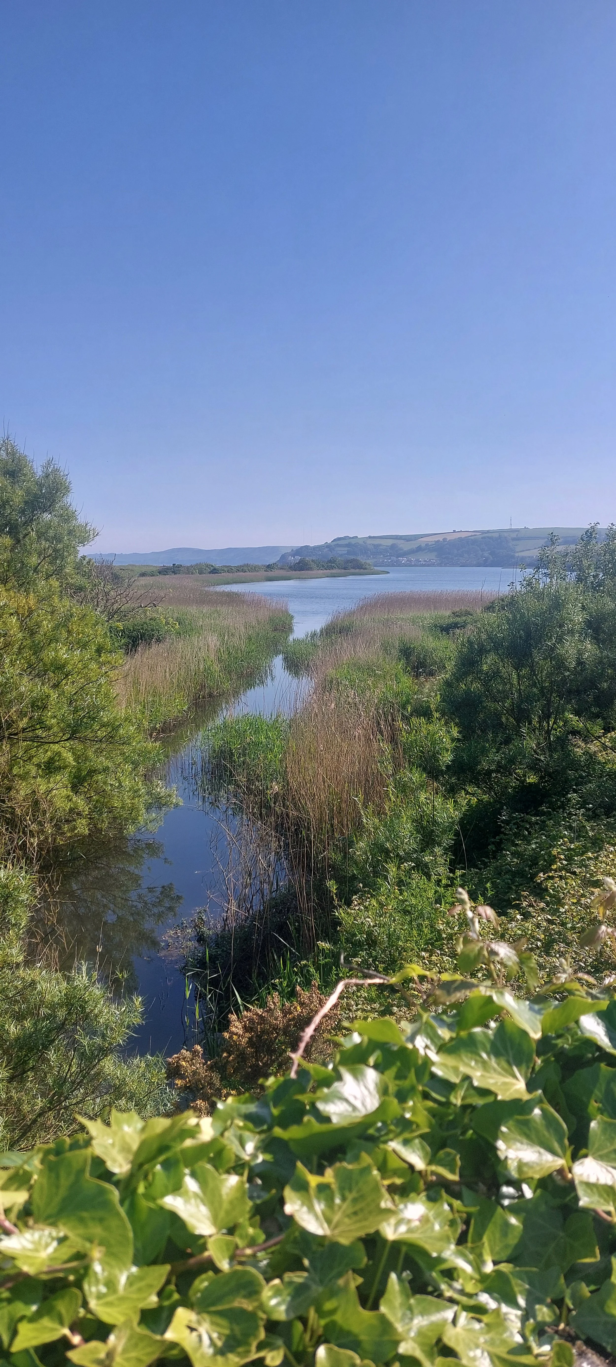 A peaceful landscape featuring a narrow waterway flowing through lush green vegetation, with a body of water and rolling hills in the distance under a clear blue sky.