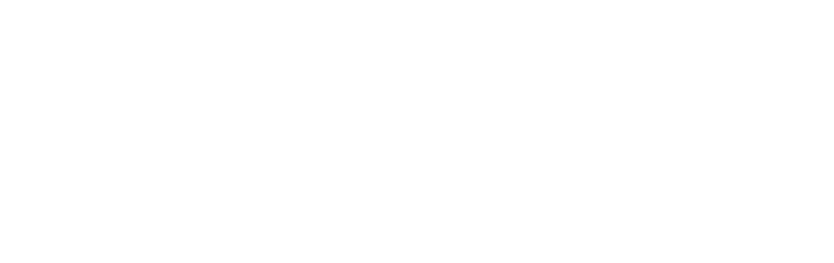 Assured Data Protection logo.