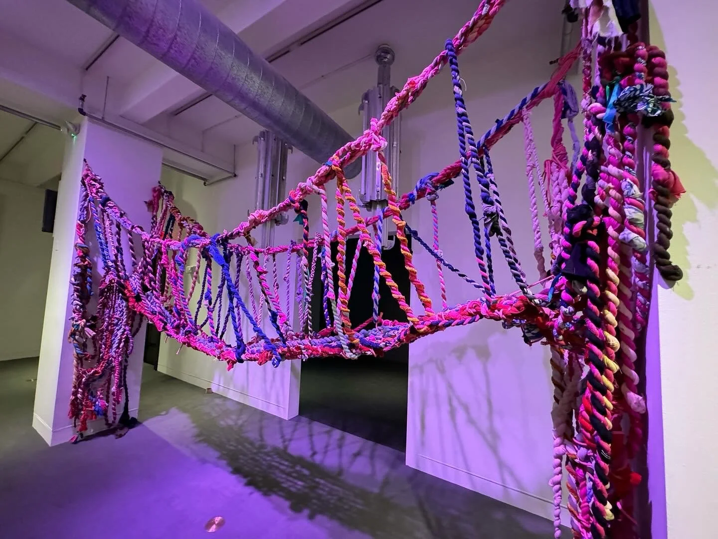 Rope Bridge at Wolfson.jpg