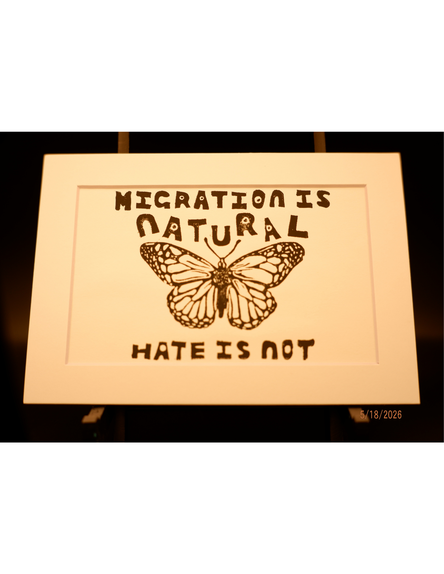 Untitled design (4).png