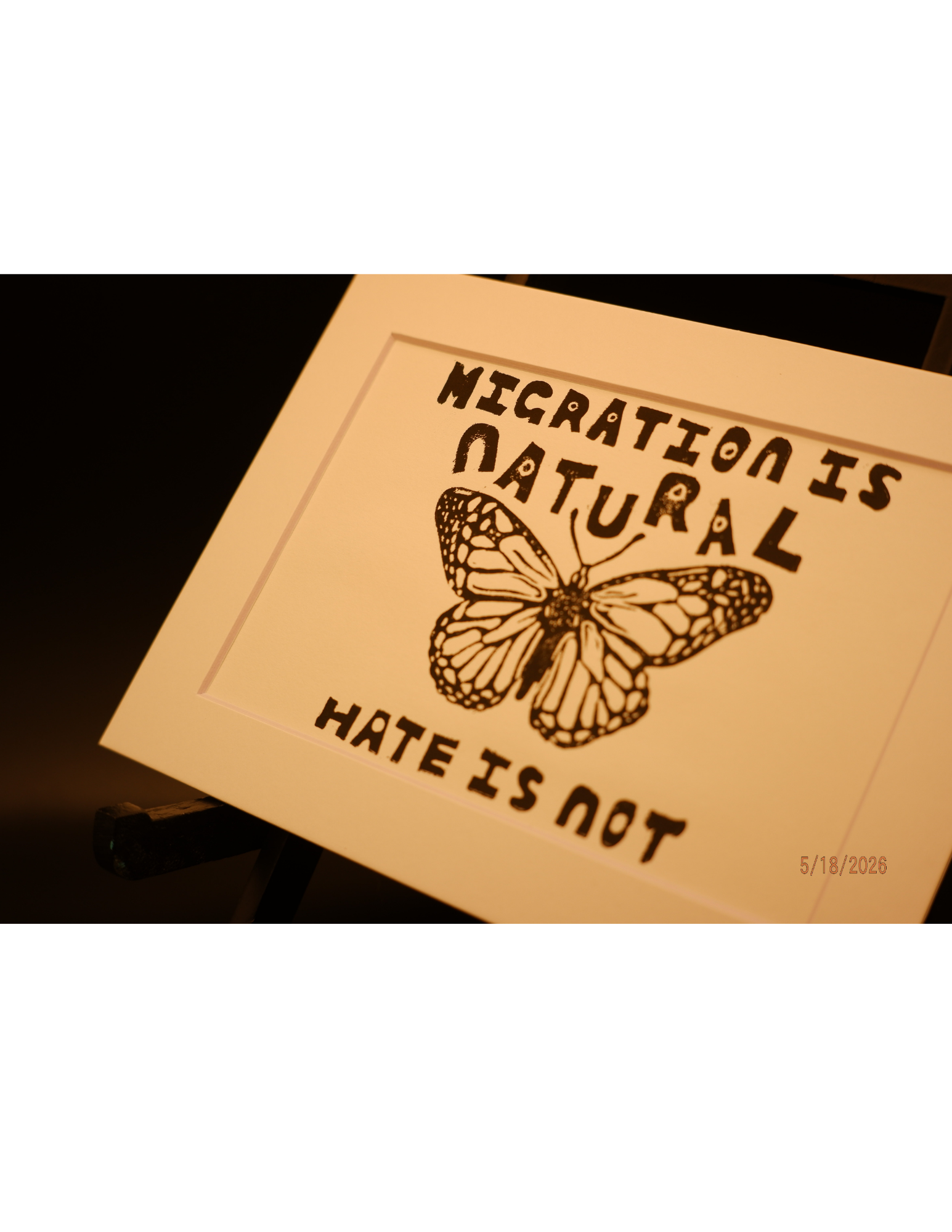 Untitled design (6).png