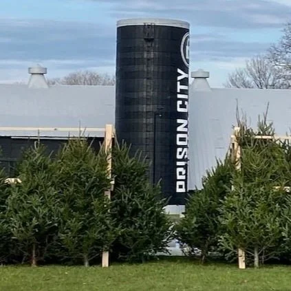 Christmas Trees for Sale