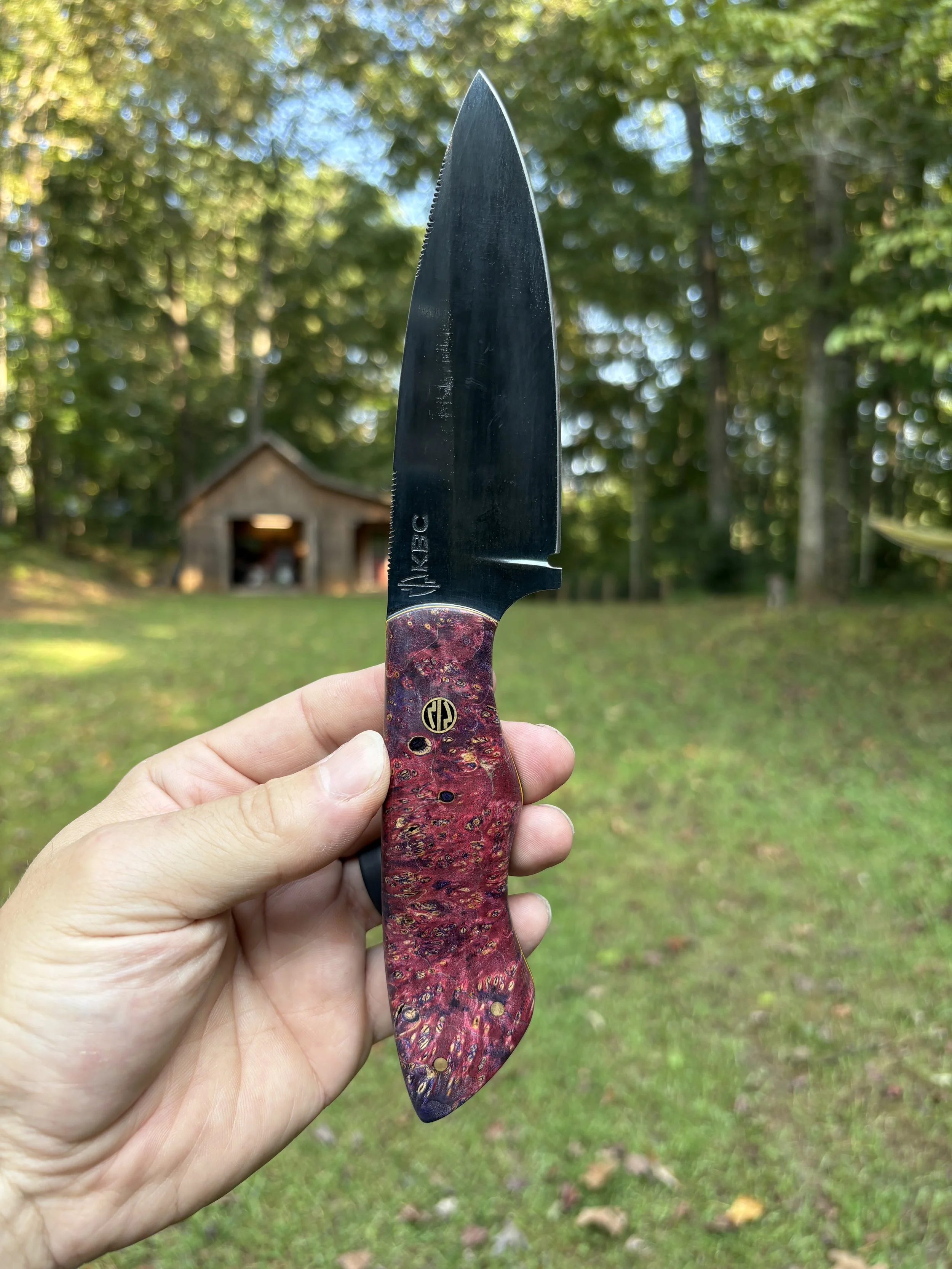 KBC B+B Tracker - Cosmic Amboyna 1.JPG