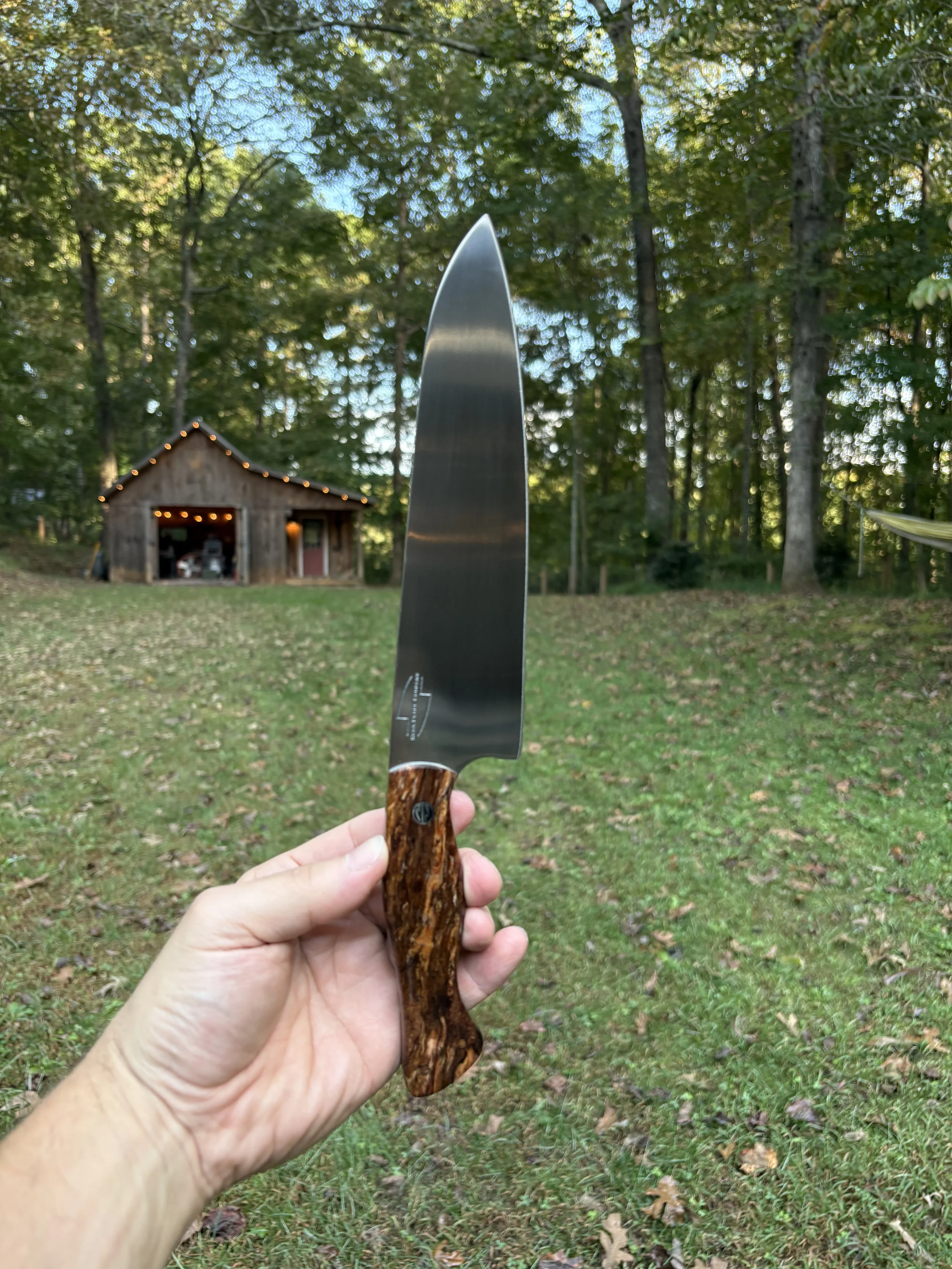 Koda Blade Honey Bee Spalted Mango 3.JPG