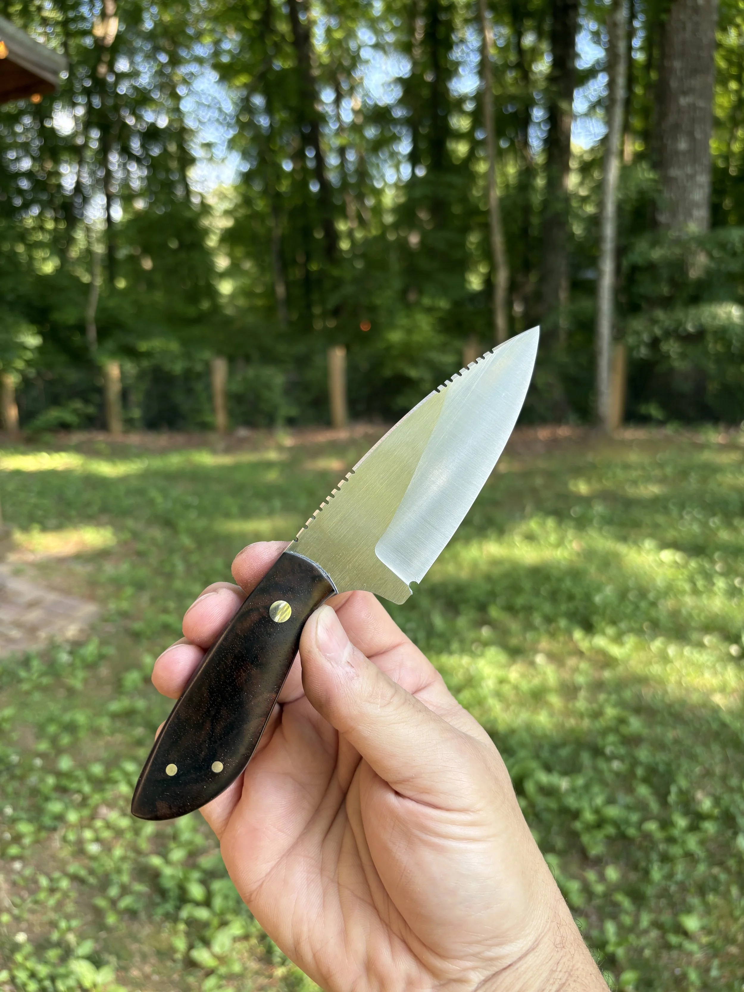 Turkish Walnut 4.JPG