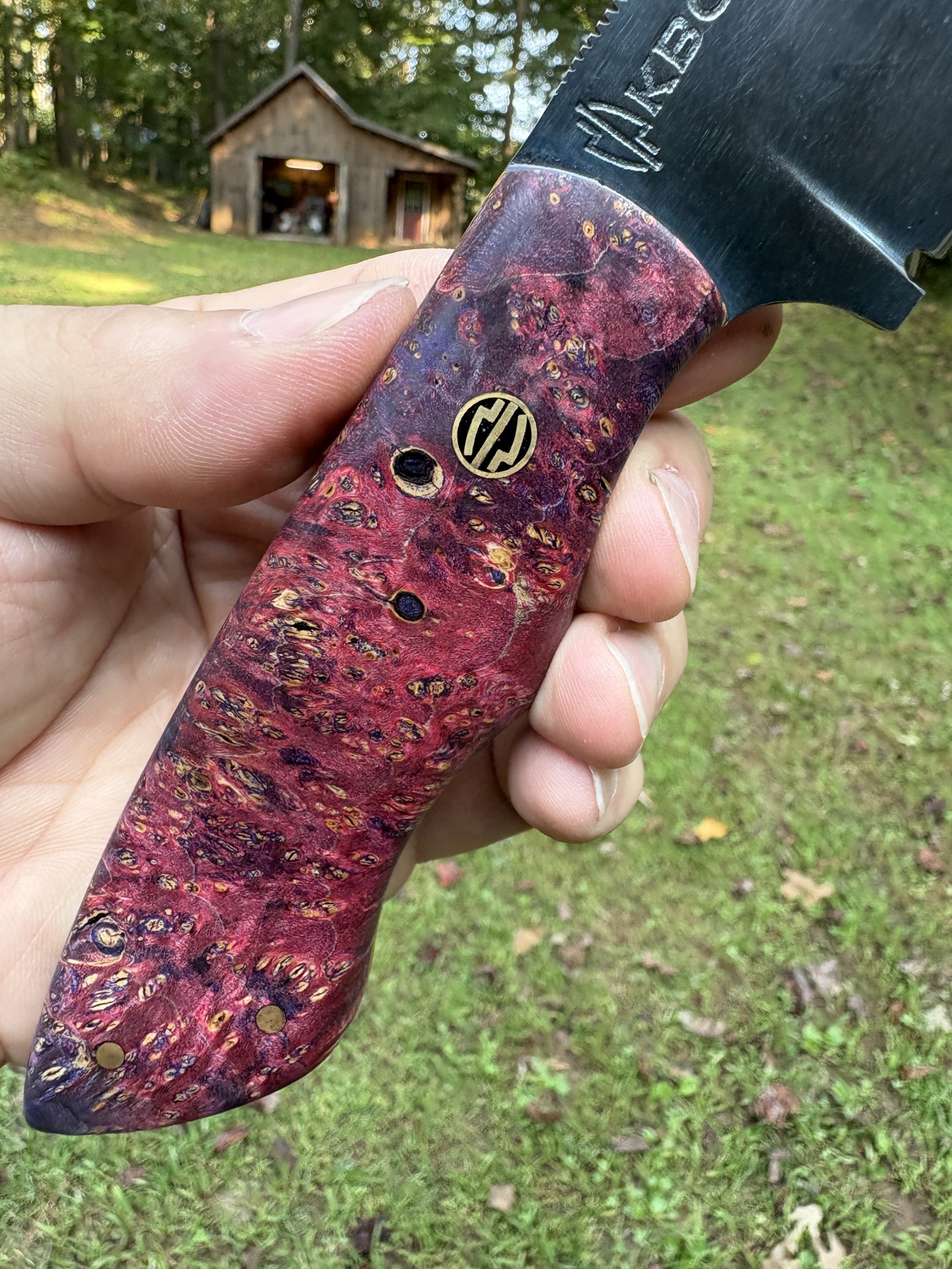 KBC B+B Tracker - Cosmic Amboyna 5.JPG
