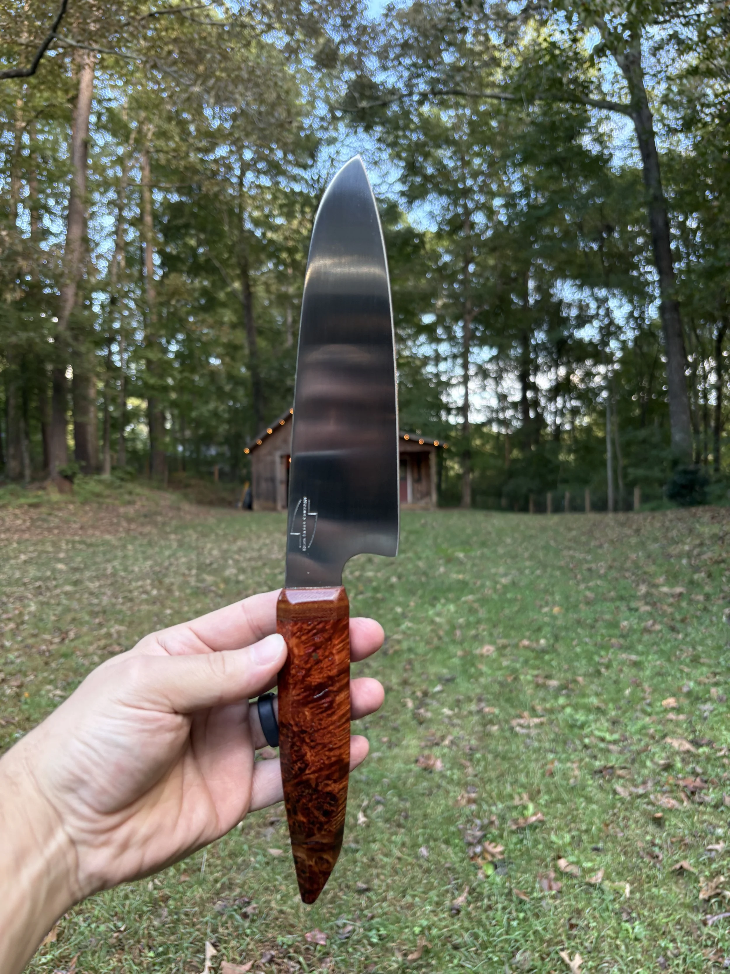 Koda Blade Honey Bee Box Elder Burl 1.JPG
