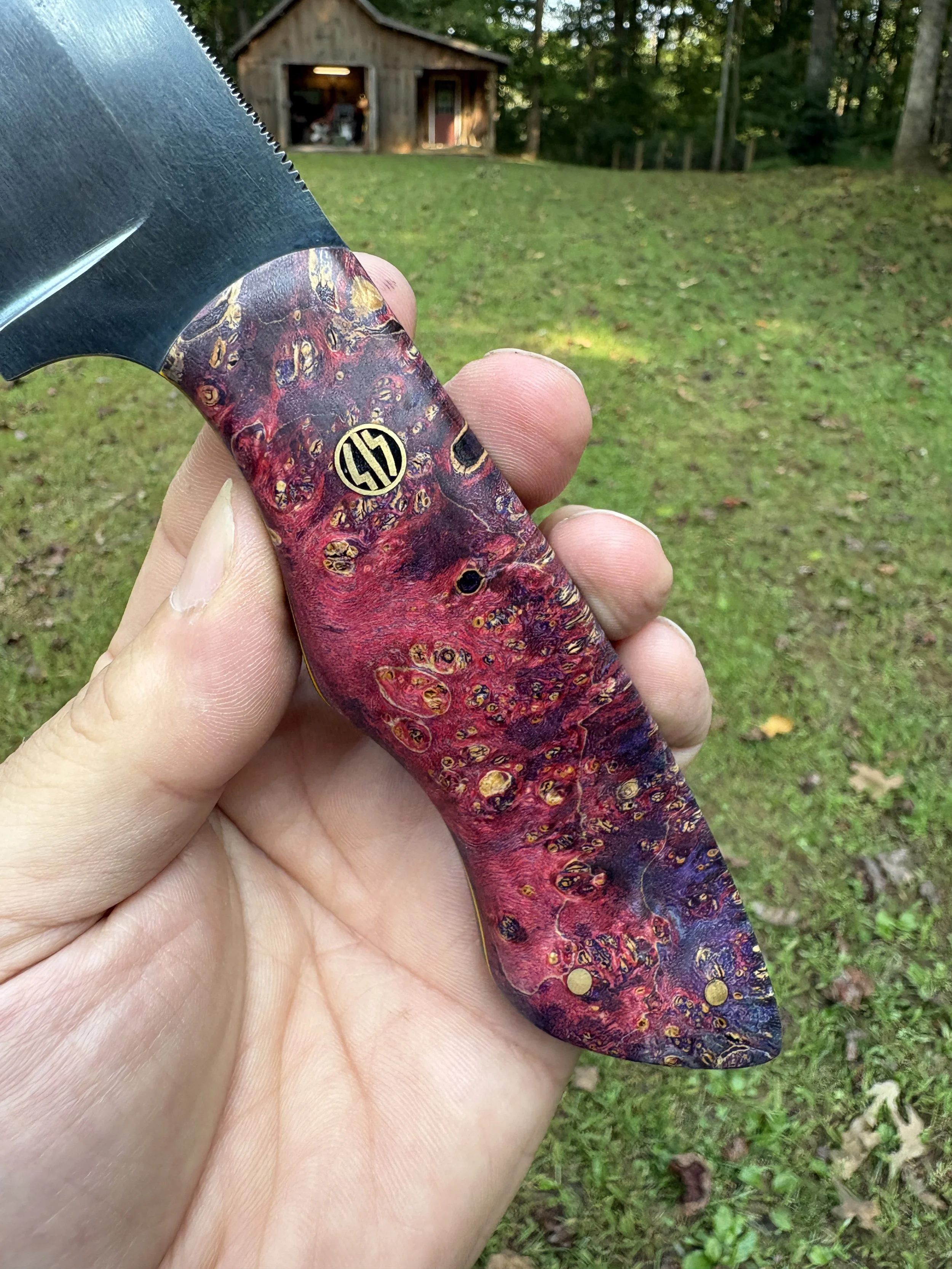 KBC B+B Tracker - Cosmic Amboyna 6.JPG