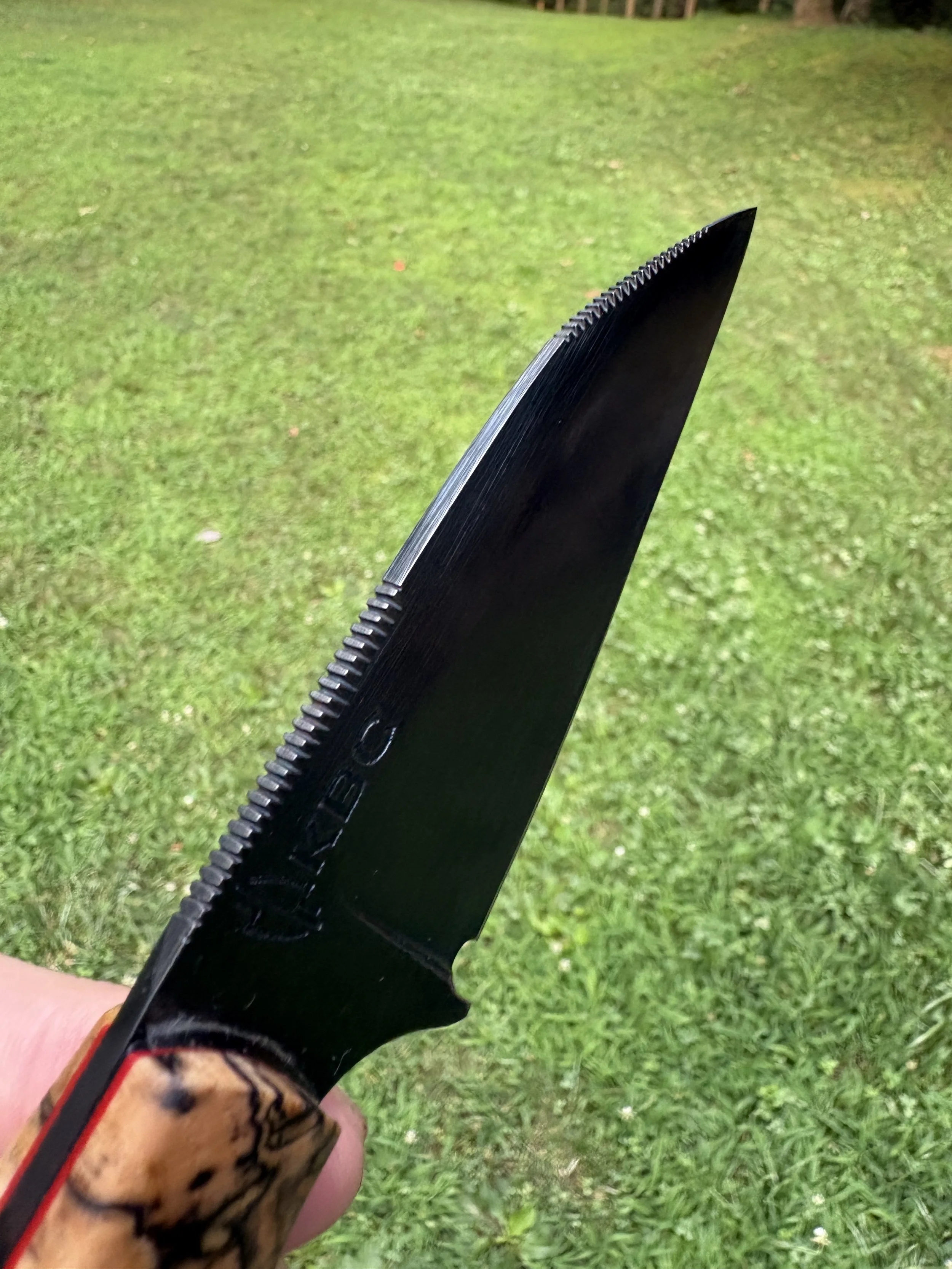 KBC Tracker - Black & Blue Hackberry Red 5.JPG