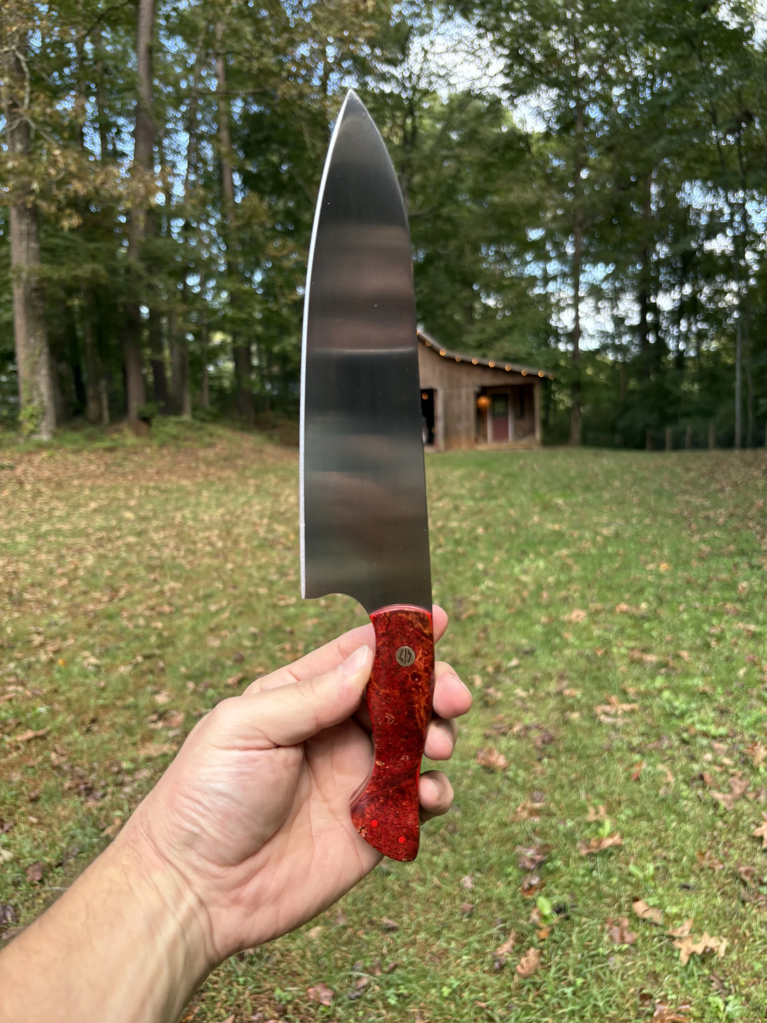 Koda Blade Honey Bee Red Box Elder Burl 2.JPG