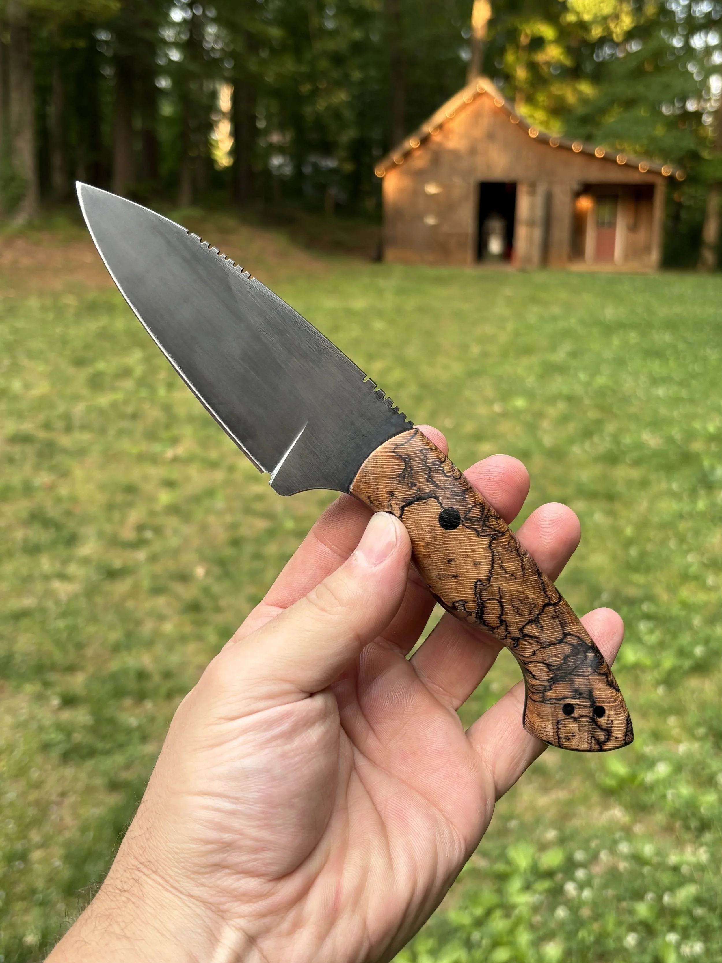 Hackberry 1.jpg