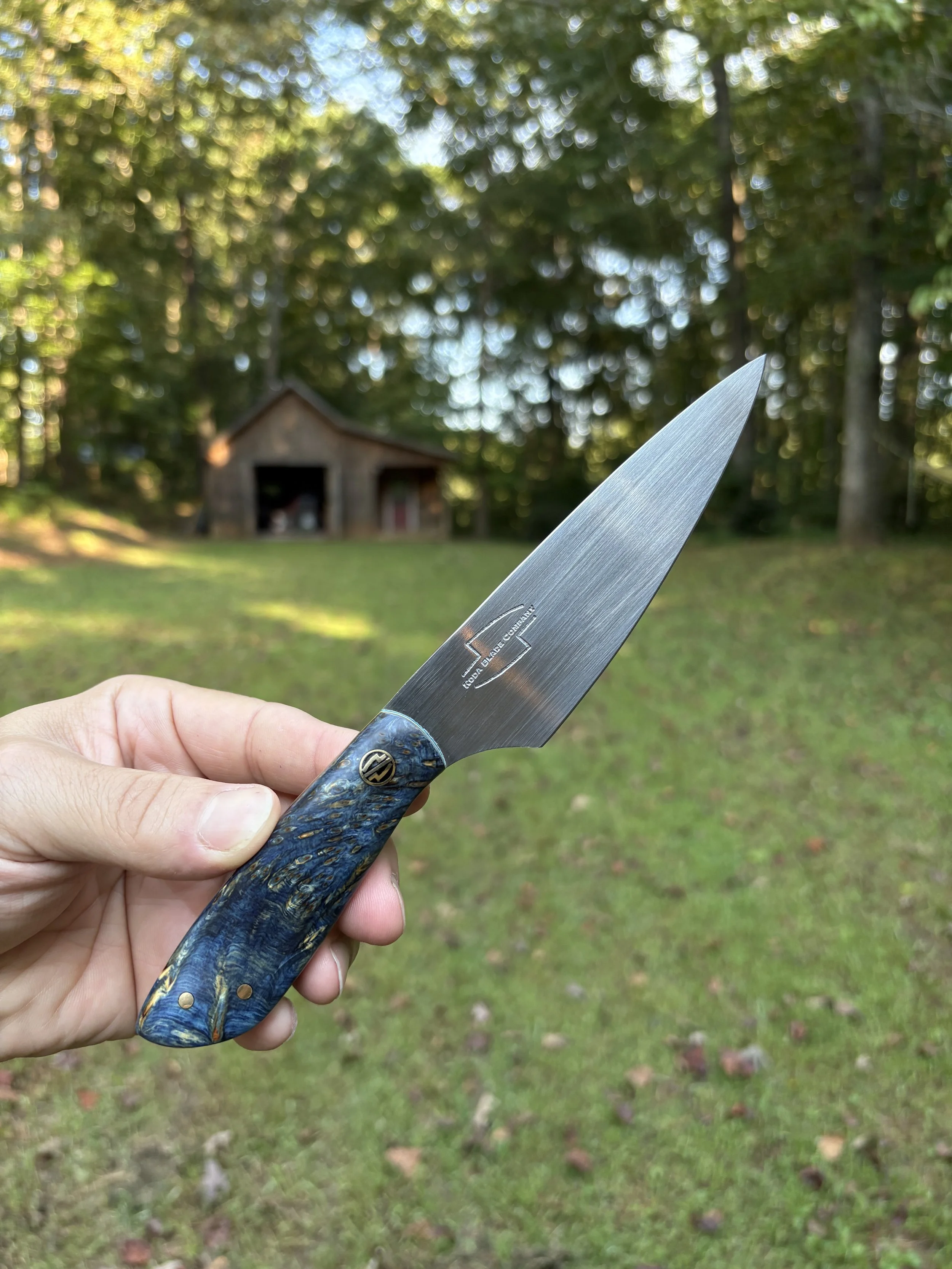 Koda Paring - Blue YCB 2.JPG